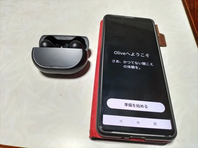 オリーブスマートイヤープラスの説明書を元に実際の設定方法を解説